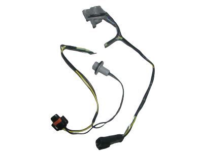 GM 15930264 Socket & Wire