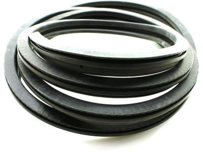 GM 15758703 Surround Weatherstrip