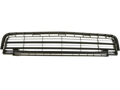 GM 88975656 Lower Grille