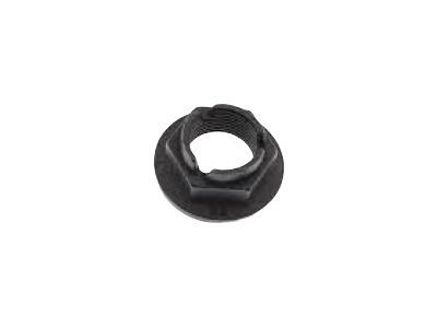 GM 11612295 Axle Nut