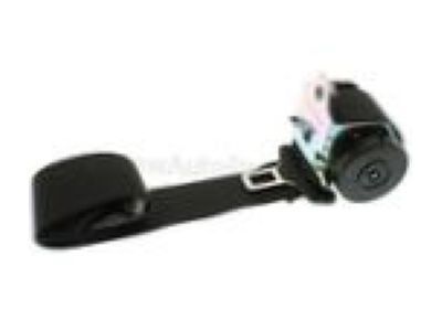 GM 19353330 Outer Belt Assembly