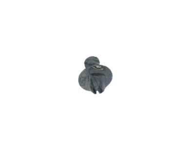 GM 22718369 Tank Shield Bolt