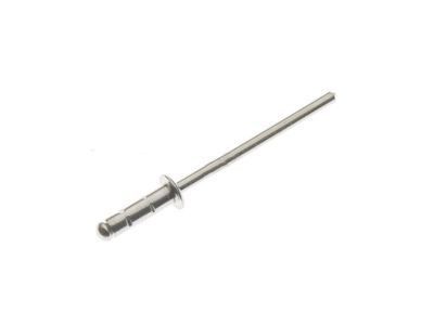 GM 92139150 Extension Rivet