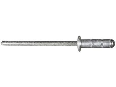 GM 92139150 Extension Rivet