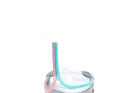 GM 10369087 Speaker, Radio Windshield Side Garnish Molding