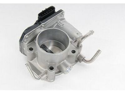 GM 19205315 Throttle Body