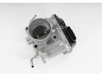 GM 19205315 Throttle Body