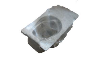 GM 11570097 Baffle Nut