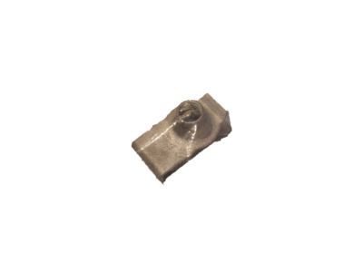 GM 11570097 Baffle Nut