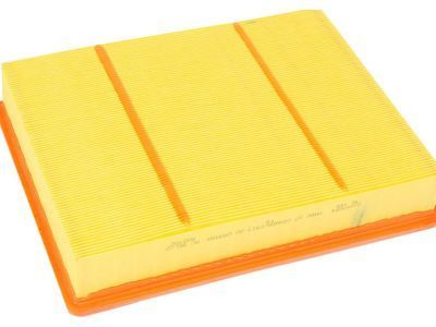 GM 23349854 Air Filter