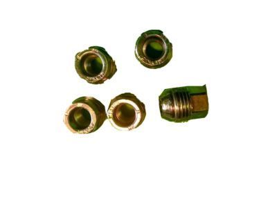 GM 10091792 Wheel Nut