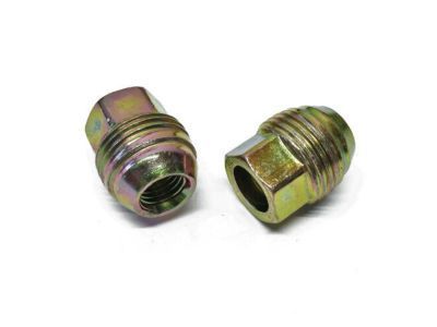 GM 10091792 Wheel Nut