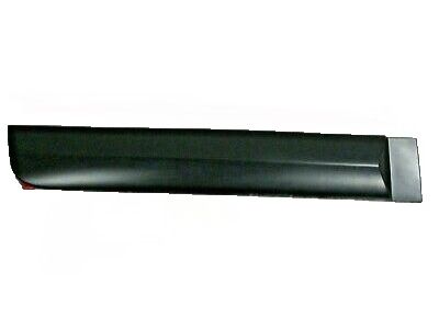 GM 22760309 Body Side Molding