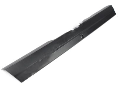 GM 20835977 Weatherstrip-Rear Side Door Lower Auxiliary