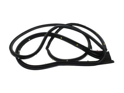 GM 23286279 Door Weatherstrip