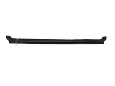 GM 20875224 Sealing Strip, Rear Side Door Window Outer