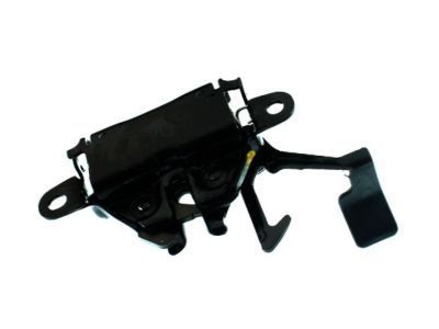 GM 88972905 Latch, Hood Primary & Secondary