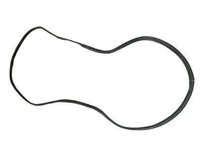 GM 15225546 Seal Asm-Rear Compartment Lift Window Rear Auxiliary