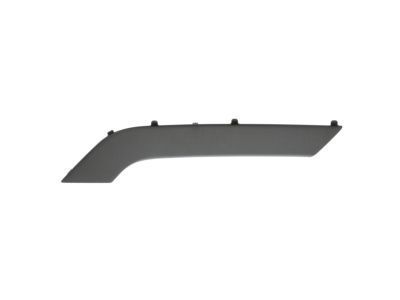 GM 23291498 Trim Molding