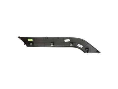 GM 23291498 Trim Molding