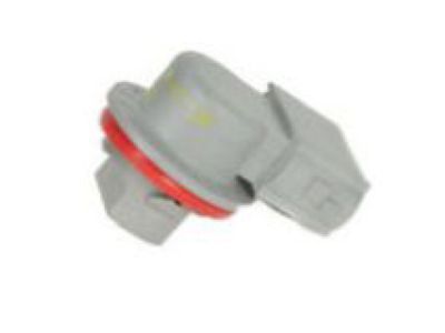 GM 25984640 Socket Asm-Rear Turn Signal Lamp