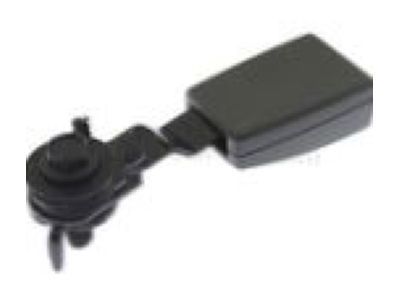 GM 19181962 Outer Buckle