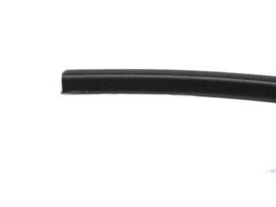 GM 25911905 Front Weatherstrip