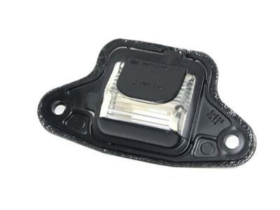 GM 5978317 License Lamp