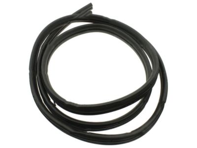 GM 19168172 Surround Weatherstrip