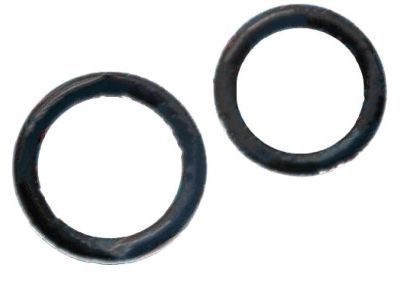 GM 52456067 AC Hose O-Ring