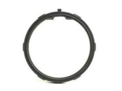 GM 12570307 Water Inlet Seal