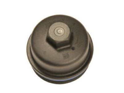 GM 55593189 Filter Cover