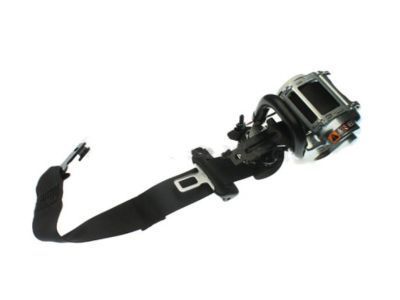 GM 19351677 Outer Belt Assembly