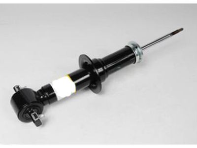 GM 20765196 Strut