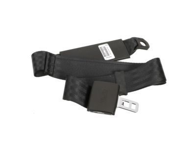 GM 19169132 Center Seat Belt