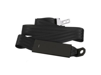 GM 19169132 Center Seat Belt