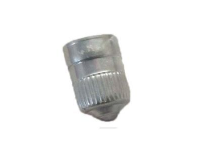 GM 25731359 Tire Sensor Cap