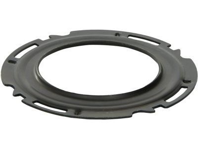 GM 15734494 Module Retainer