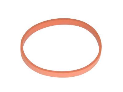 GM 24455112 Manifold Gasket