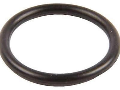 GM 19132944 Input Shaft Seal