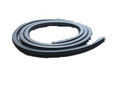 GM 15244247 Weatherstrip, Rear Side Door