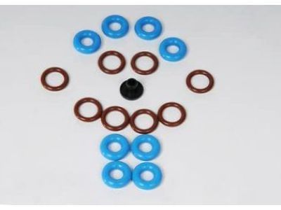 GM 19169305 Injector Seal Kit