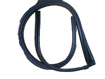 GM 15744718 Drip Weatherstrip