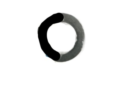 GM 90156055 Tensioner Washer