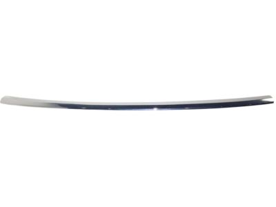 GM 20982428 Step Pad