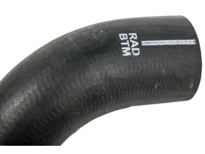 GM 19258420 Lower Hose