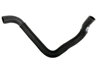 GM 19258420 Lower Hose