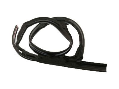 GM 21993937 Drip Weatherstrip