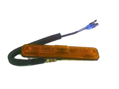 GM 25952319 Side Marker Lamp