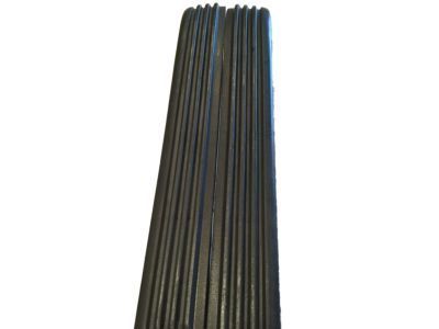 GM 15574115 Impact Strip